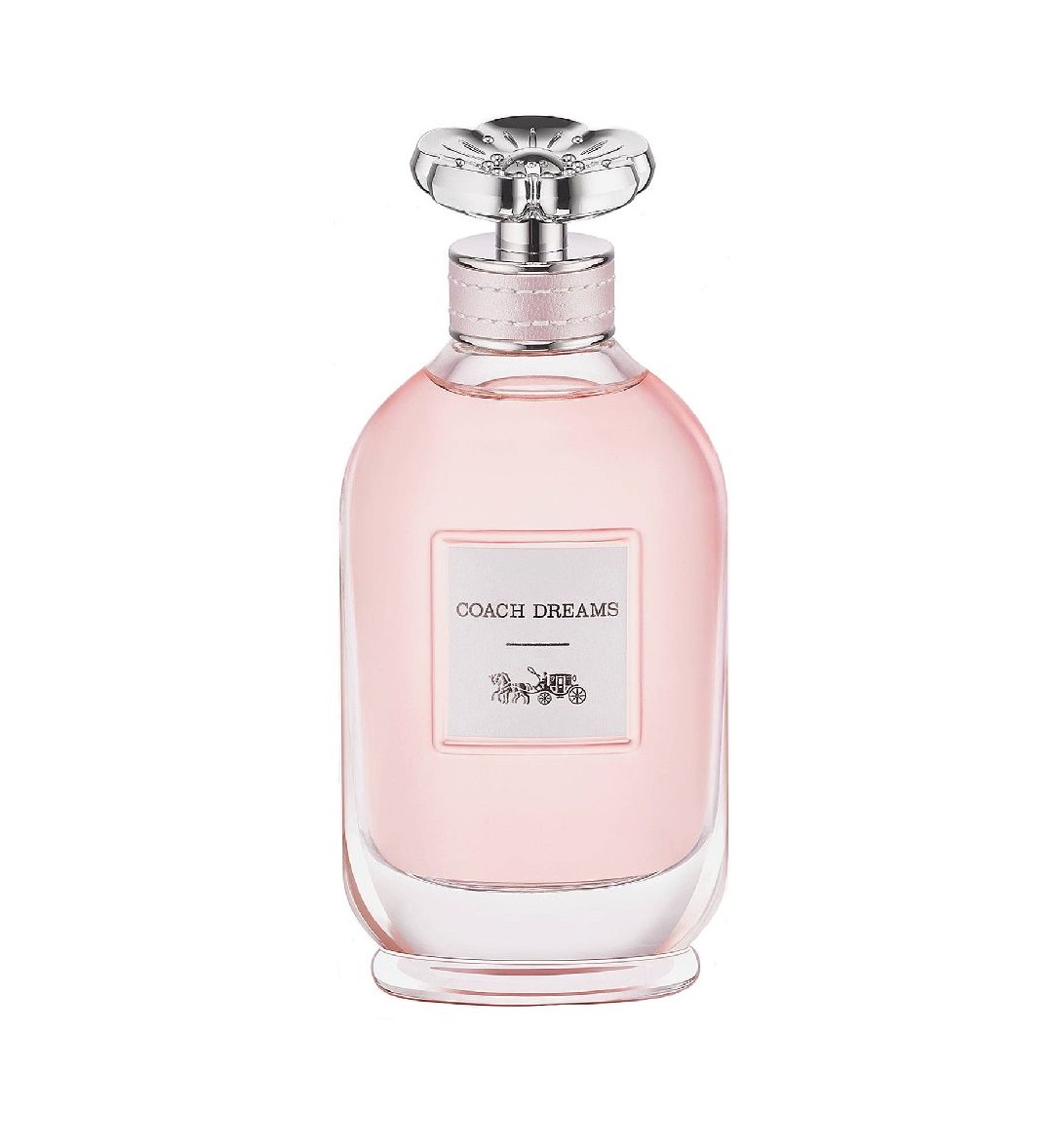 coach-dreams-1